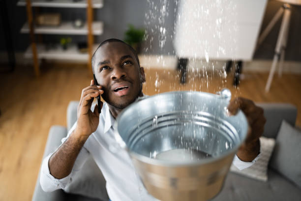 Best Basement water damage restoration  in Fanwood, NJ