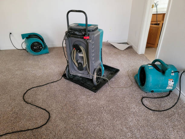Best Professional water damage repair  in Fanwood, NJ