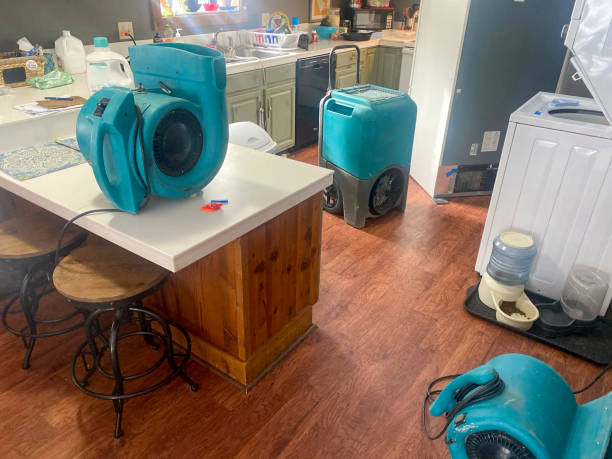 Best Commercial water damage restoration  in Fanwood, NJ