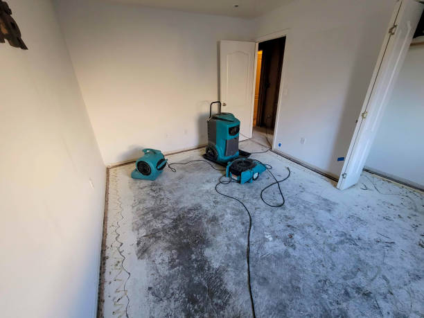 Best Carpet water damage restoration  in Fanwood, NJ
