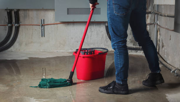 Best Carpet water damage restoration  in Fanwood, NJ