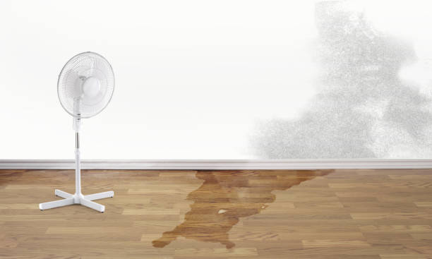 Best Ceiling water damage repair  in Fanwood, NJ