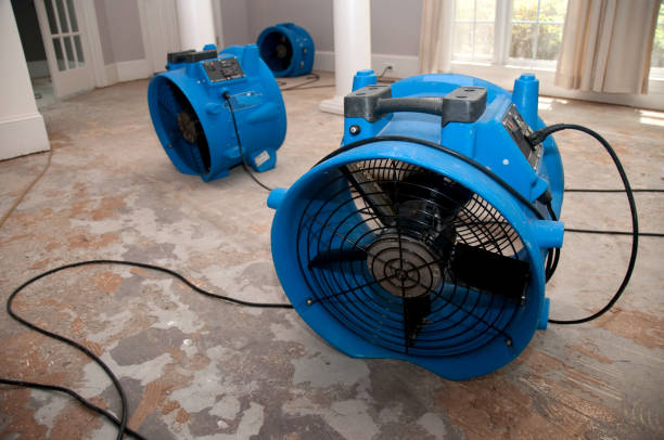 Best Water damage contractors near me  in Fanwood, NJ