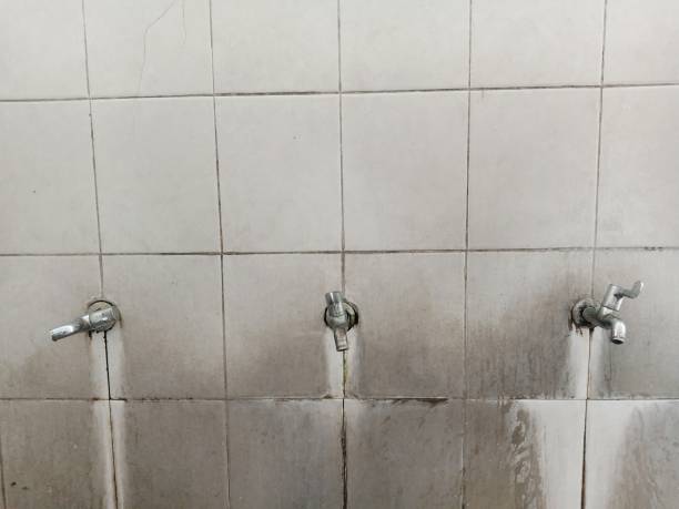 Best 24-hour water damage restoration  in Fanwood, NJ