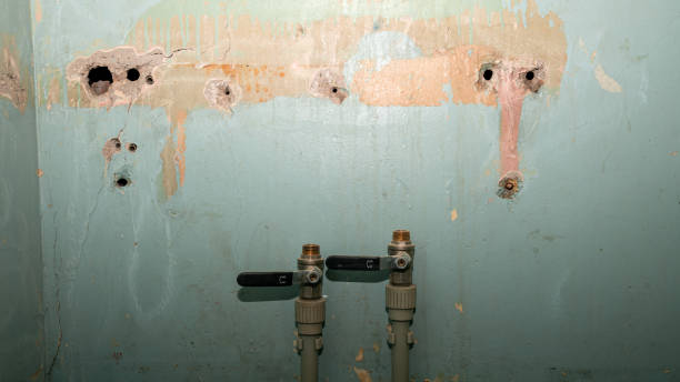 Best Residential water damage restoration  in Fanwood, NJ