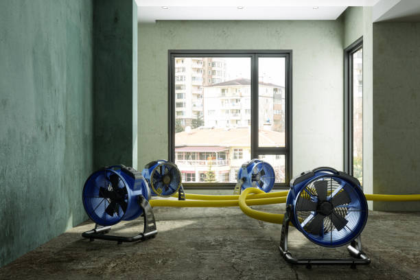 Best Commercial water damage restoration  in Fanwood, NJ