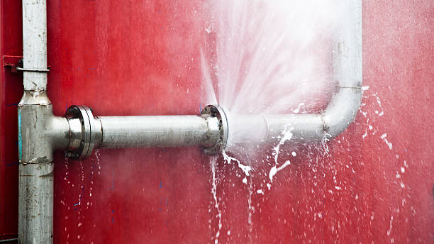 Best Water damage restoration experts  in Fanwood, NJ