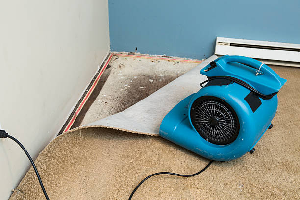  Fanwood, NJ Water damage restoration Pros